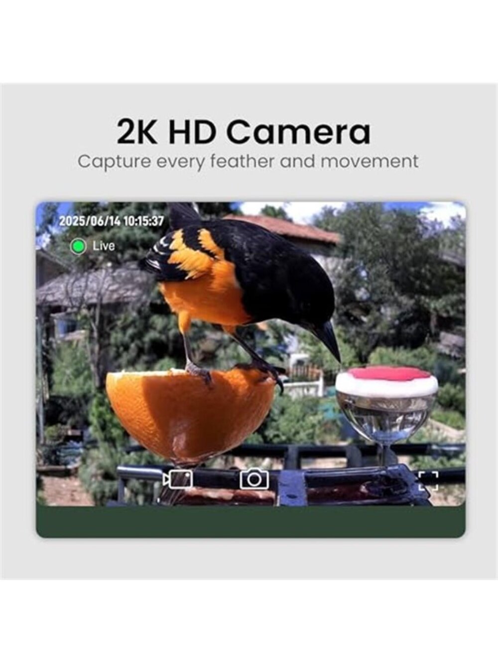 Smart Bird Feeder with Camera Solar Powered 2K HD Video, 10,000+ Species AI - Picture 2 of 7